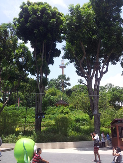 thumb_bukit_lewang_to_UK_969.jpg