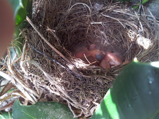 thumb_2012-04-15_15.48.15.jpg
