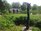 thumb_May_092.jpg
