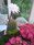 thumb_May_095.jpg