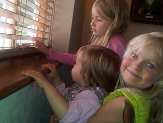 thumb_20120605_142605.jpg
