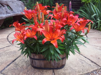 thumb_20120620_125825.jpg