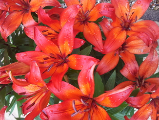 thumb_20120621_142808.jpg
