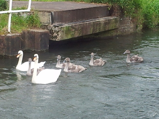 thumb_20120701_115908.jpg