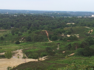 thumb_20120705_195509.jpg