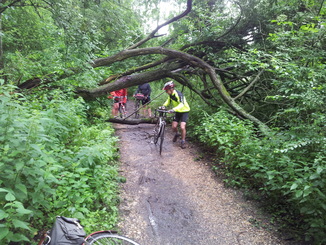 thumb_20120707_102701.jpg
