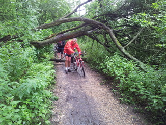 thumb_20120707_102709.jpg