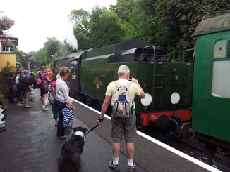 thumb_20120729_113223.jpg