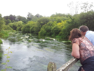thumb_20120729_153339.jpg
