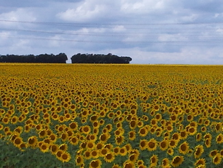 thumb_20120806_123019.jpg