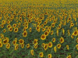 thumb_20120806_123033.jpg