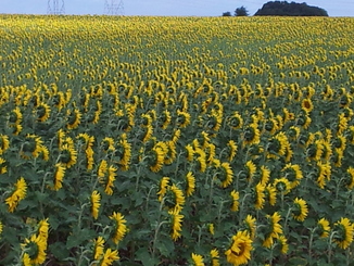 thumb_20120806_123049.jpg
