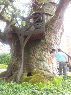 thumb_20120813_104909.jpg