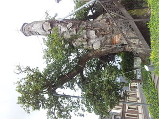 thumb_20120813_105008.jpg