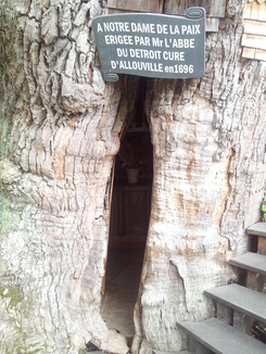 thumb_20120813_105146.jpg