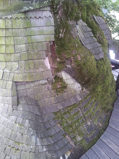 thumb_20120813_105530.jpg
