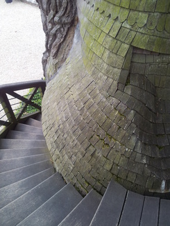 thumb_20120813_105544.jpg