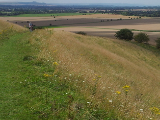 thumb_20120819_120720.jpg