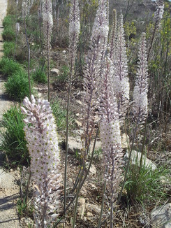 thumb_20120918_193009.jpg