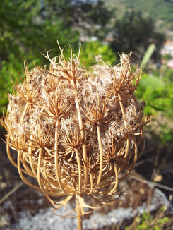 thumb_20120923_093126.jpg