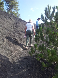 thumb_20120927_091703.jpg
