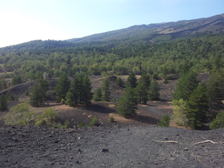 thumb_20120927_091817.jpg
