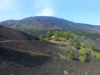 thumb_20120927_092304.jpg