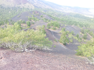 thumb_20120927_093501.jpg
