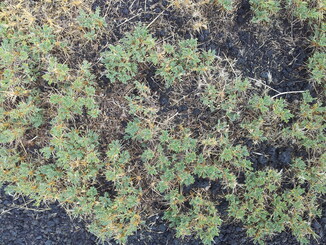 thumb_20120927_094709.jpg