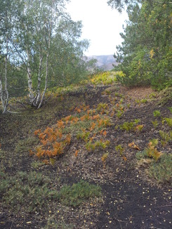thumb_20120927_095036.jpg