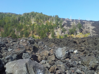 thumb_20120927_110059.jpg