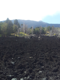 thumb_20120927_111520.jpg
