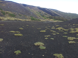 thumb_20120927_114359.jpg