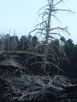 thumb_20120927_121436.jpg