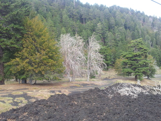 thumb_20120927_121446.jpg