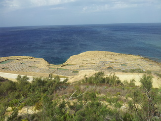 thumb_20121001_141943.jpg