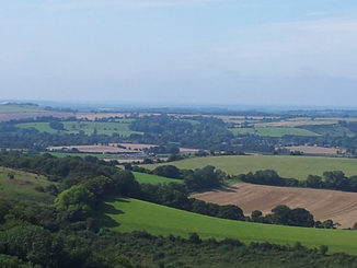 thumb_20120904_124210.jpg