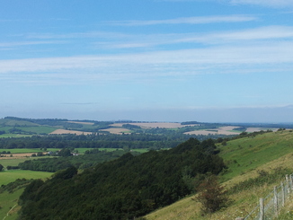 thumb_20120904_124243.jpg