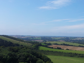 thumb_20120904_124256.jpg