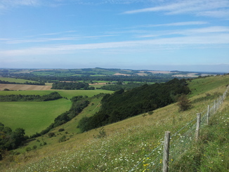 thumb_20120904_124324.jpg