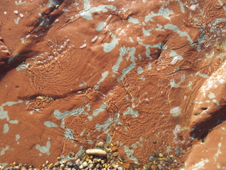 thumb_20121013_102159.jpg