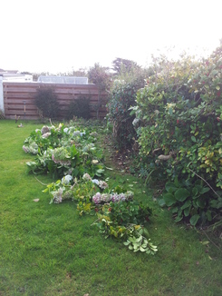 thumb_20121016_112644.jpg