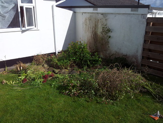 thumb_20121016_125401.jpg