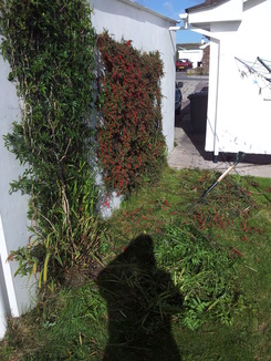 thumb_20121016_125421.jpg