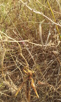 thumb_20000104_114605.jpg