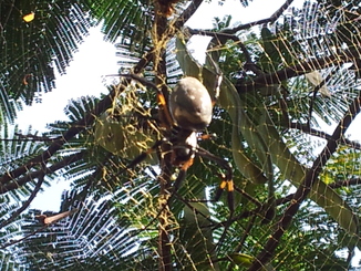 thumb_20121026_102330.jpg