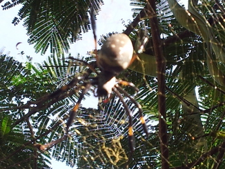 thumb_20121026_102407.jpg