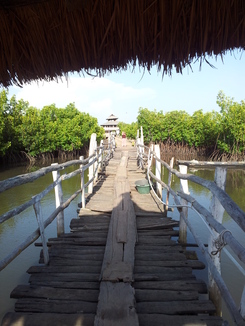 thumb_20121027_174746.jpg