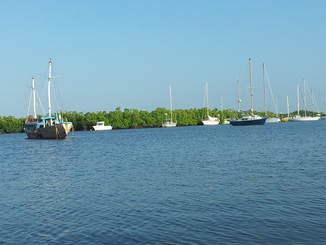 thumb_20121027_181231.jpg