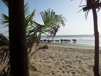 thumb_20121028_163255.jpg
